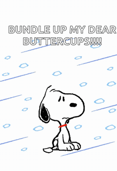 Wrapping Head With Scarf Saying Stay Warm GIF