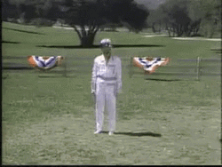 Wrecking Ball Pinning Super Dave Osborne GIF