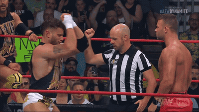 Wrestler Holds Up Fist To AEW Referee GIF