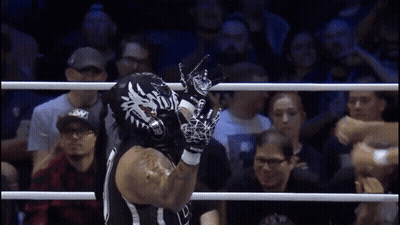 Wrestler In Mask And Gloves In Ring GIF
