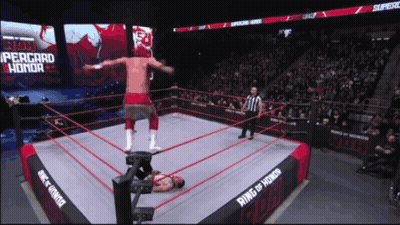 Wrestler In Ring Of Honor GIF