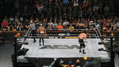 Wrestler In Ring With AEW GIF