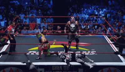Wrestler In Ring With Gira De Sign GIF