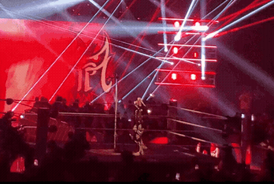 Wrestler In Ring With Letter L On Wall GIF