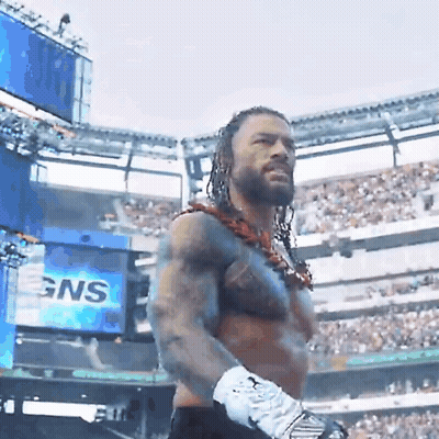 Wrestler In Stadium Crowd With GNS Sign GIF