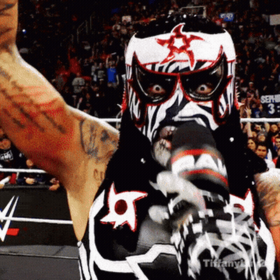 Wrestler In Zebra Mask And Gloves Before Crowd GIF