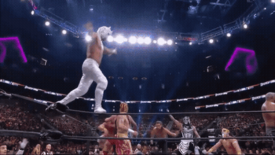 Wrestler Jumping Over Rope While Another Watches GIF