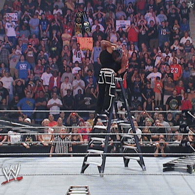 Wrestler On Ladder In Front Of Crowd With Sign 18 GIF