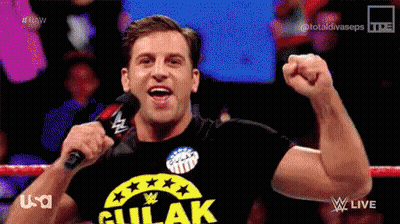Wrestler Referee Happy Sign GIF