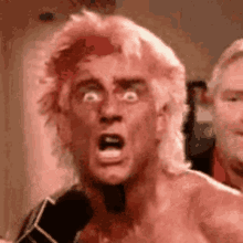 Wrestler Ric Flair Woo Mad Reaction GIF