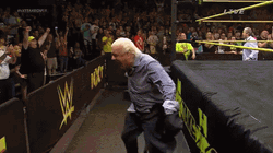 Wrestler Ric Flair Woo Whining Up GIF
