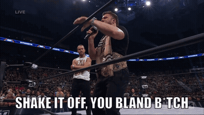 Wrestler Says Shake It Off You Bland Bitch GIF