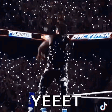 Wrestler Standing In Ring GIF