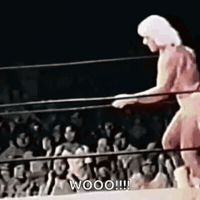 Wrestler Standing In Ring GIF