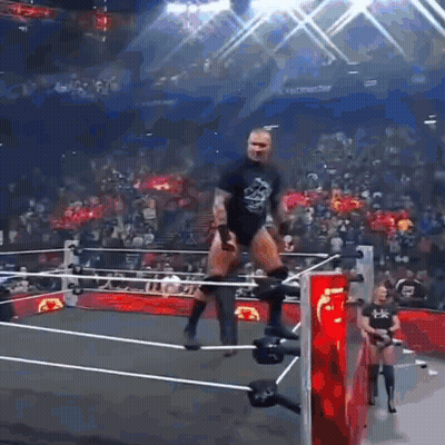 Wrestler Standing In Wrestling Ring GIF