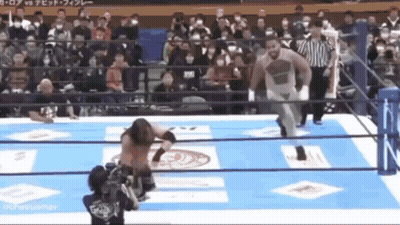 Wrestler Standing In Wrestling Ring GIF