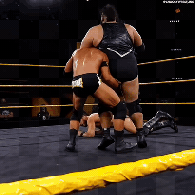 Wrestler With Bronco On Shorts Fighting Another Wrestler GIF