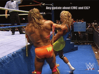 Wrestlers Fighting In Ring GIF