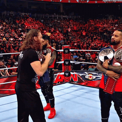 Wrestlers In Ring With Crowd And AN Sign GIF