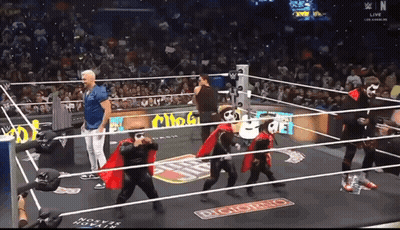 Wrestlers In Ring With Digicard Sign GIF