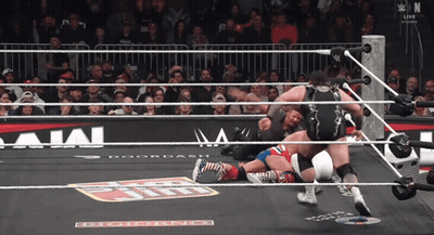 Wrestlers In Ring With Doordash Sign GIF