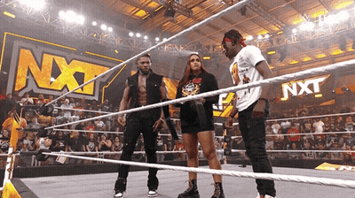 Wrestlers In Ring With NXT On Wall GIF