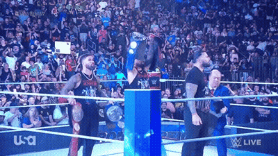 Wrestlers In Wrestling Ring Saying USA GIF