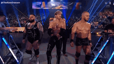 Wrestlers Standing in Front of Crowd in Stadium