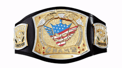 Wrestling Belt With Spinner GIF