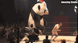 Wrestling Fight With Giant Panda