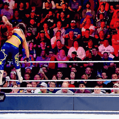 Wrestling Match Crowd Sign The Next Big Thing GIF