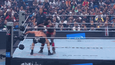 Wrestling Match In Front Of Crowd With Blue Allianz Sign GIF