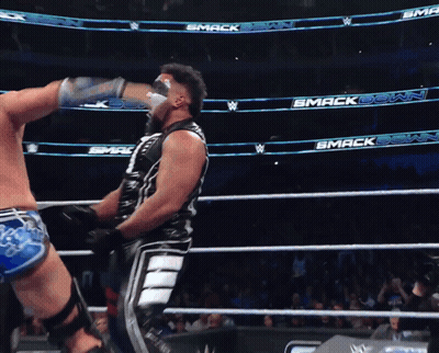 Wrestling Match In Front Of Smack Down Banner GIF