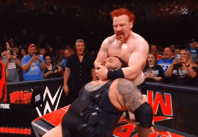 Wrestling Match In Front Of WWE Crowd GIF