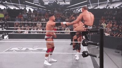 Wrestling Match In Ring GIF