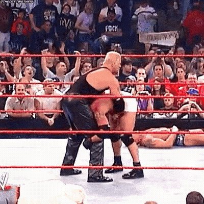 Wrestling Match In Ring With Crowd GIF