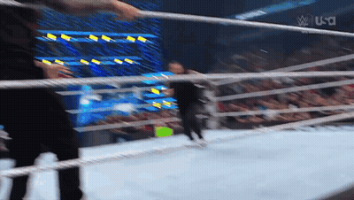 Wrestling Match In Ring With Crowd GIF