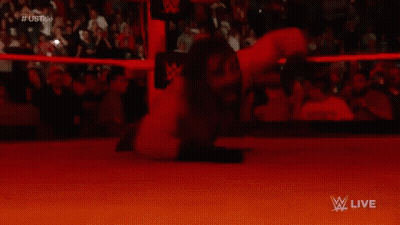 Wrestling Match Live On WWE GIF