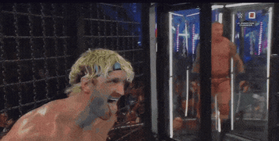 Wrestling Match On TV Screen GIF