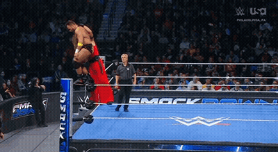 Wrestling Match On TV Screen GIF
