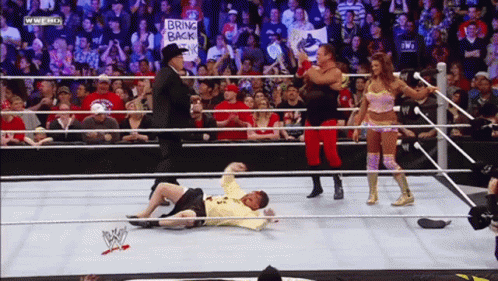 Wrestling Match With Bring Back Sign GIF