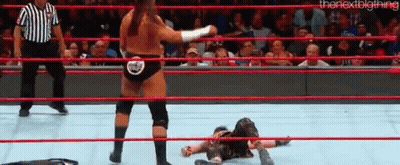 Wrestling Match With Referee Behind Ring GIF