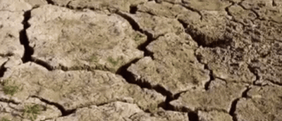 Wrestling Match With W Logo GIF