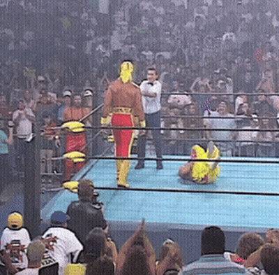 Wrestling Ring Referee Wrestler In Hulk Hogan Outfit GIF
