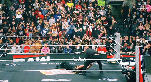 Wrestling Ring With Baja Sign GIF