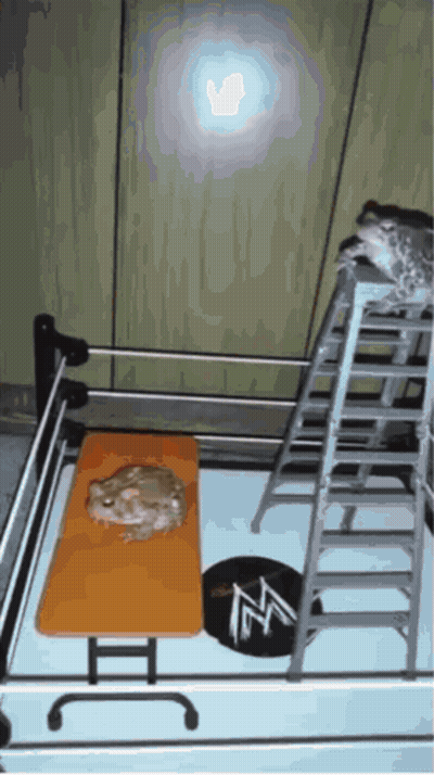 Wrestling Ring With Ladder And Table GIF
