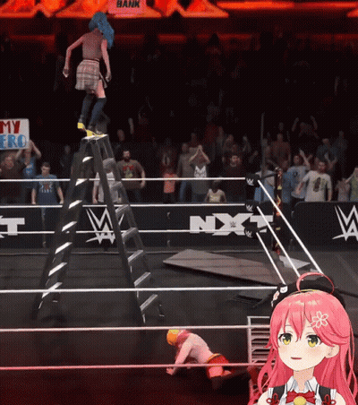 Wrestling Ring With My Hero Sign GIF