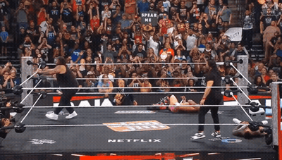 Wrestling Ring With Netflix Logo GIF