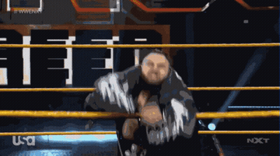 Wrestling Ring With NXT Logo GIF
