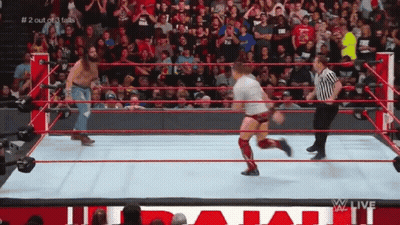 Wrestling Ring With Referee And Crowd GIF